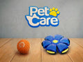 Combo de Pelotas Interactivas para Perros