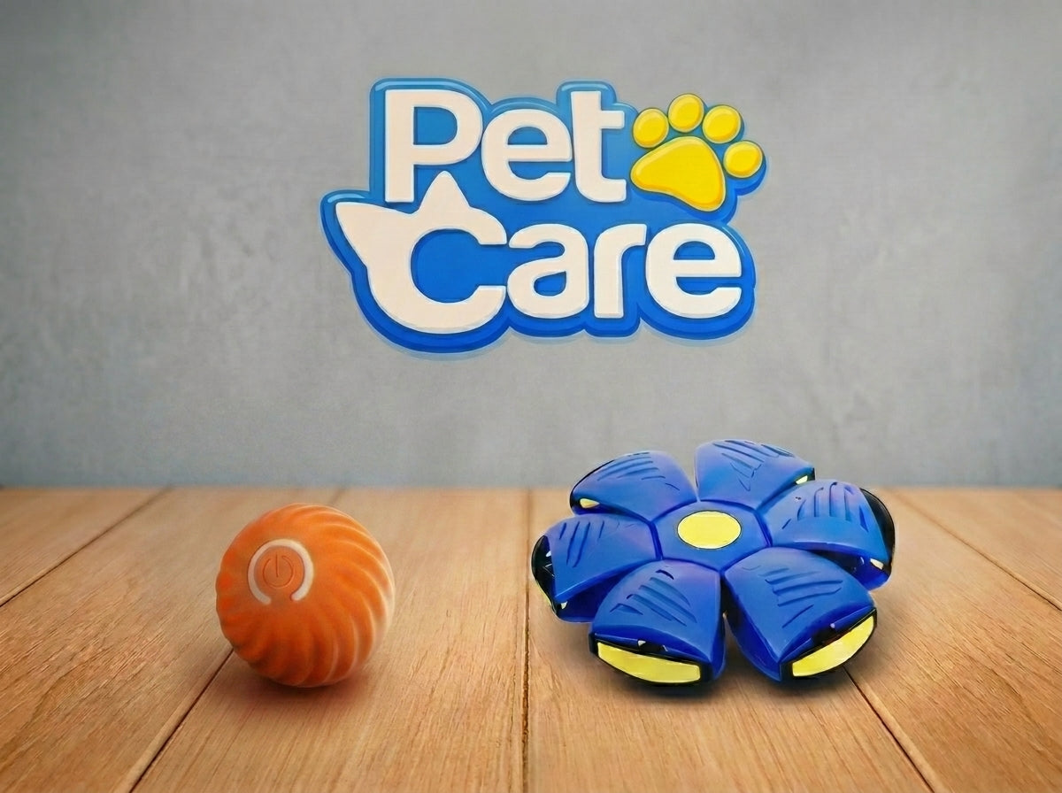 Combo de Pelotas Interactivas para Perros