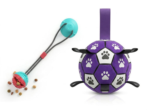 Combo de Pelotas de Entrenamiento para Perros